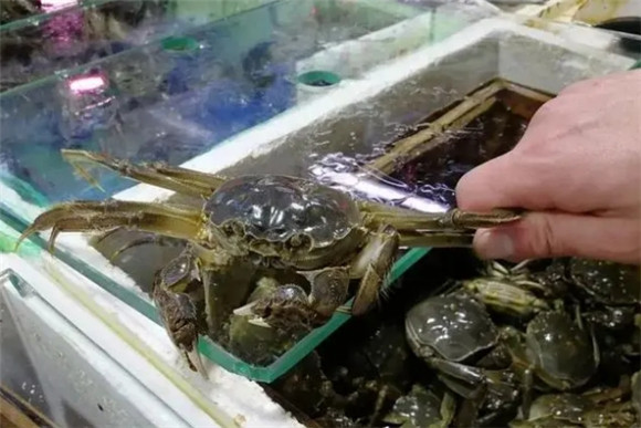 北海有大闸蟹卖吗 北海有大闸蟹卖吗
