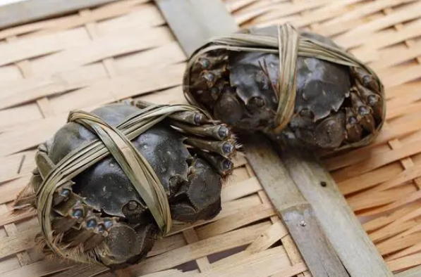 河蟹可以活几天
