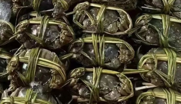 挑选阳澄湖大闸蟹的时候可以从这几点下手哦! 挑选阳澄湖大闸蟹的时候可以从这几点下手哦!