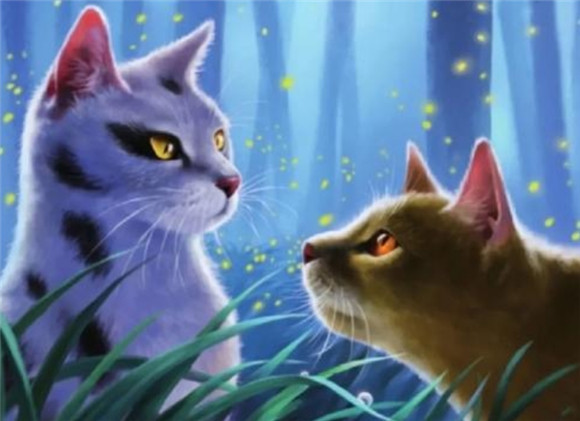 测一测你的猫武士名字
