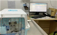 宠物医院猫瘟pcr骗局