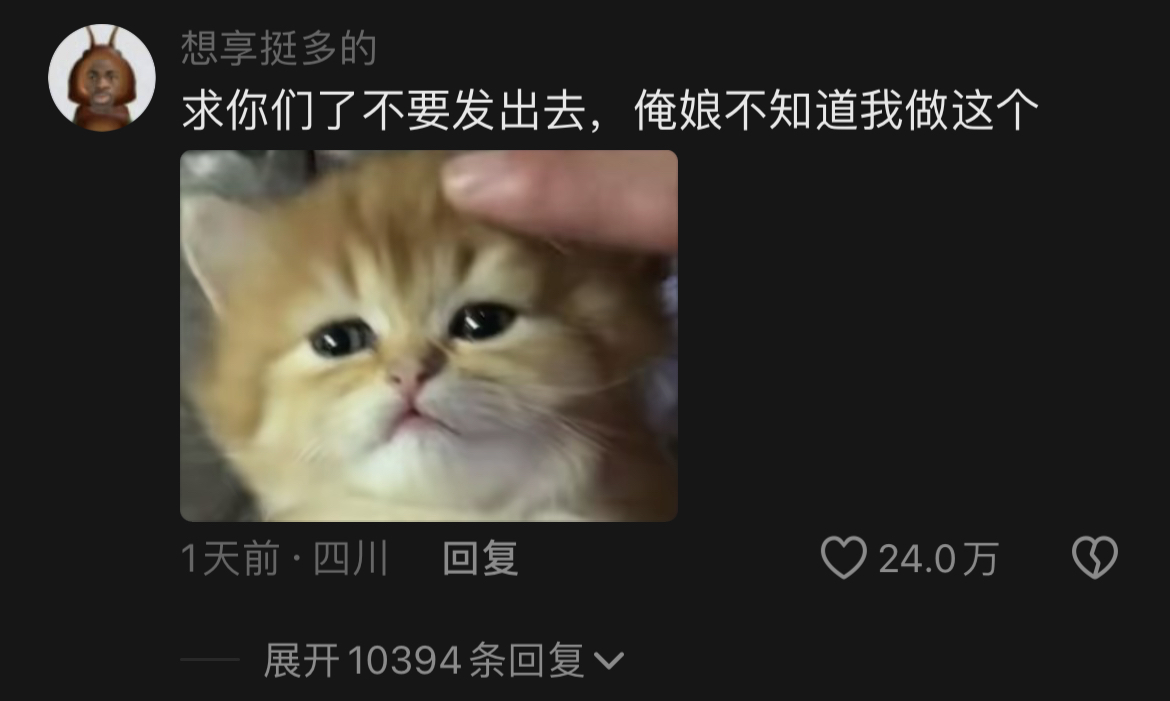 这小猫谁rua谁不迷糊，超萌的呀！