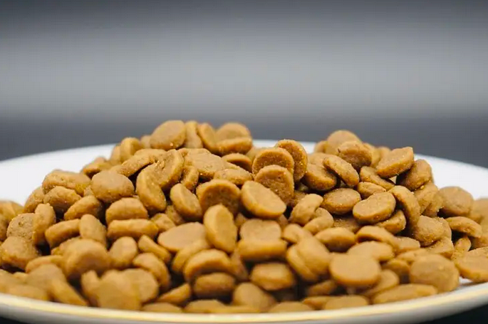 宠玛吉宠物全价猫粮怎么样