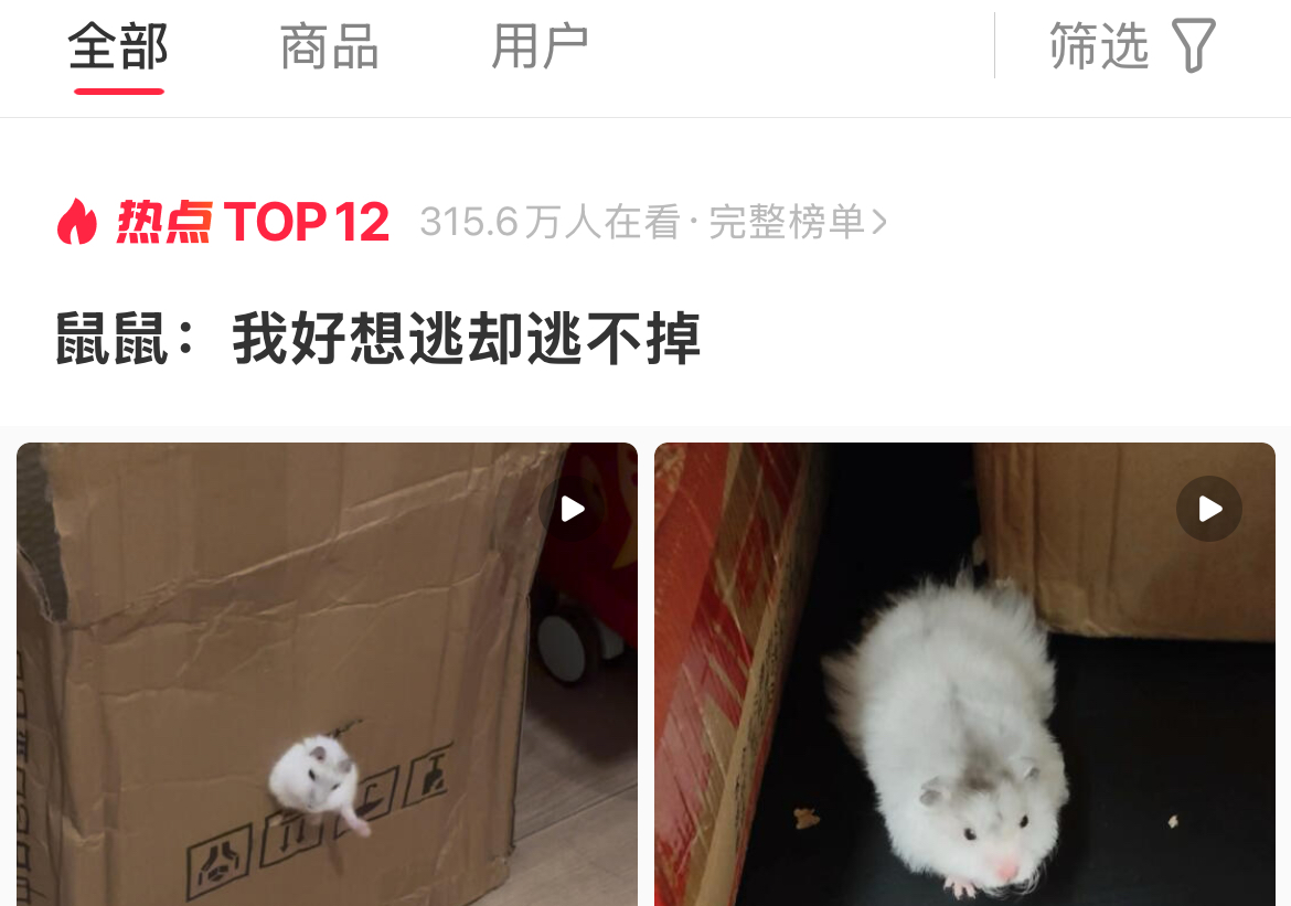 鼠鼠：我好想逃却逃不掉