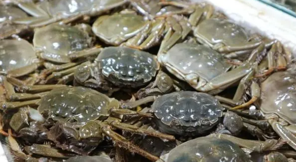 大闸蟹怎么洗