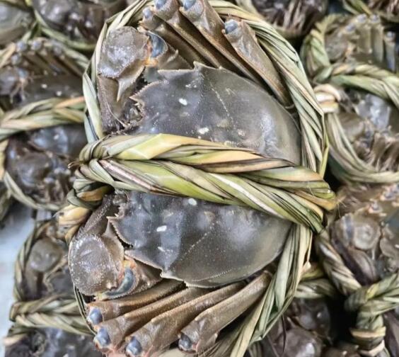 上麟记的大闸蟹是真的假的