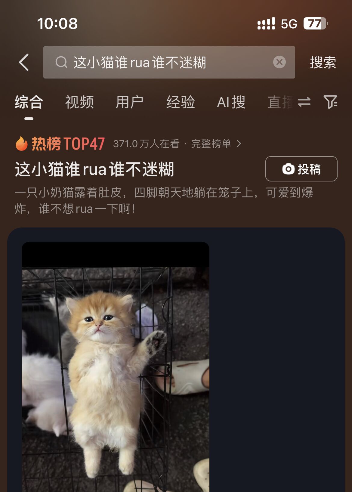 这小猫谁rua谁不迷糊，超萌的呀！