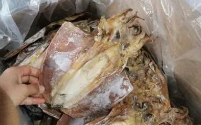 墨鱼是寒凉食物吗 墨鱼是寒凉食物吗