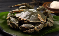 河蟹和梭子蟹哪个好吃