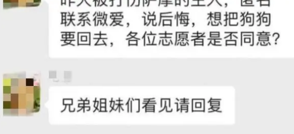 狗狗被打爆眼球又遗弃，主人得知被救后操作亮了