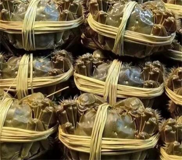 大闸蟹是海洋生物吗