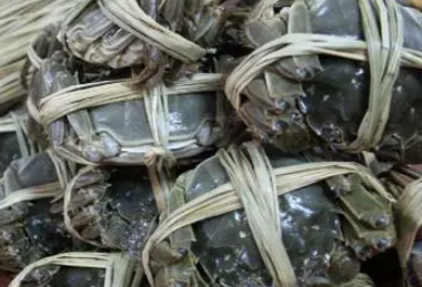这种养殖大闸蟹的方法不仅产量高而且味道美 这种养殖大闸蟹的方法不仅产量高而且味道美