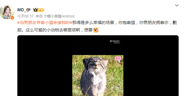 当男朋友带着小猫来接我时,幸福这一刻具象化了 当男朋友带着小猫来接我时,幸福这一刻具象化了