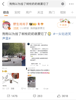  奶奶以为捡了树枝奶奶就要它了，卖力干活的狗狗