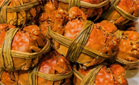 烹饪大闸蟹新秘籍：蒸煮快炒酥炸香煎，解锁海鲜美味无限可能！