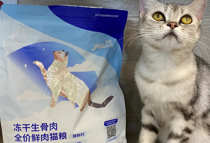 动物先生猫粮好吃吗