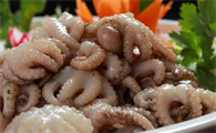 八爪鱼和章鱼鱿鱼有什么区别