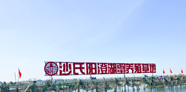 沙氏大闸蟹是杂牌子吗