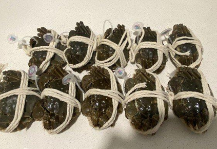 阳澄湖大闸蟹正宗品牌