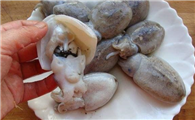墨鱼是章鱼吗