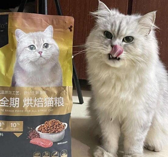 byay猫粮是国产吗