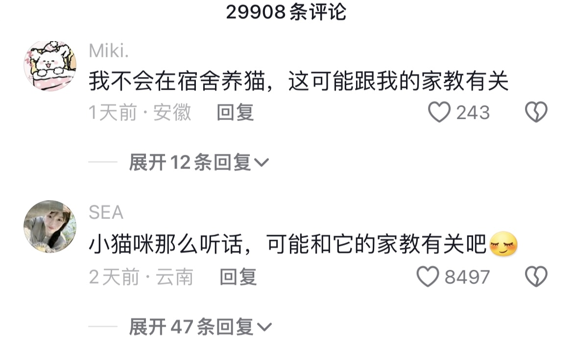 这小猫谁养谁不迷糊啊