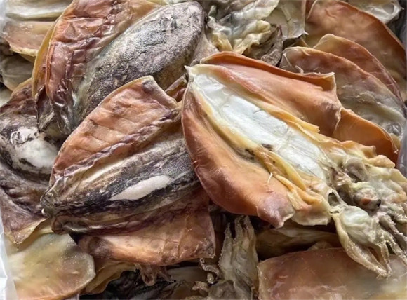 墨鱼含胆固醇高吗 墨鱼含胆固醇高吗