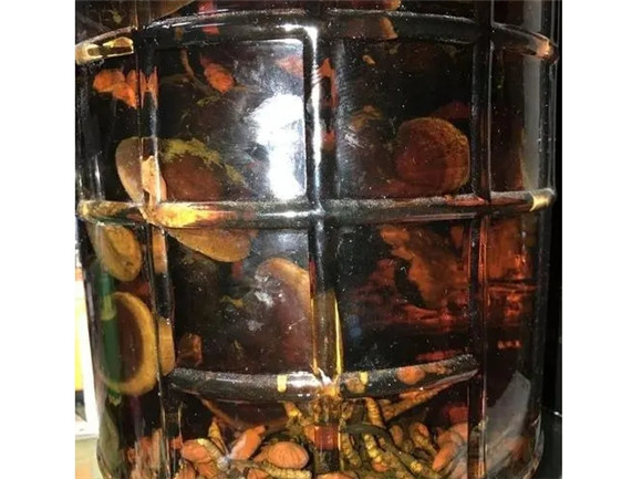 屎壳郎泡酒有什么功效 屎壳郎泡酒有什么功效