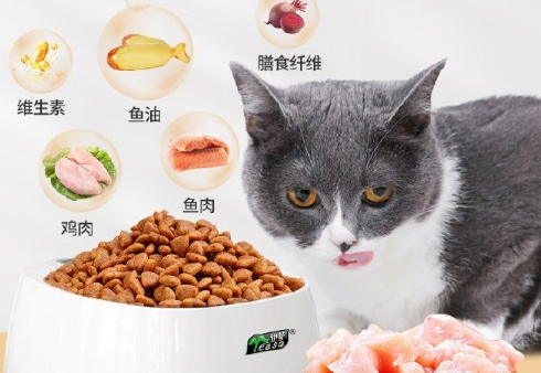 游猎民族猫粮：品质之选，猫咪的健康守护者