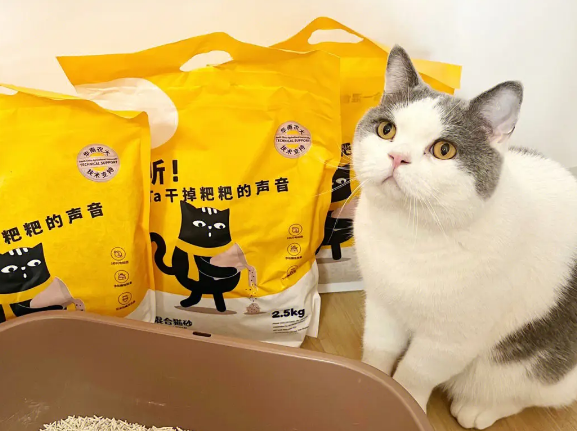 听宠猫砂怎么样 听宠猫砂怎么样