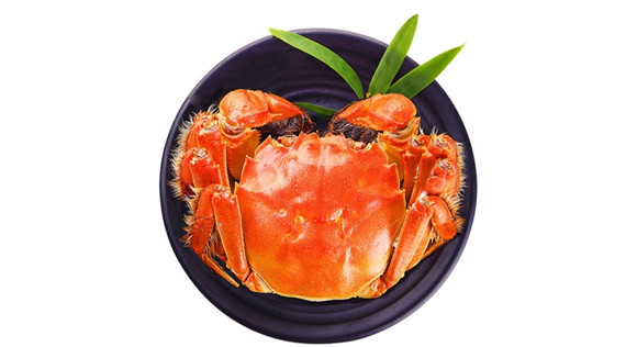 浅谈大闸蟹生长过程中靠吃什么食物来维持身体