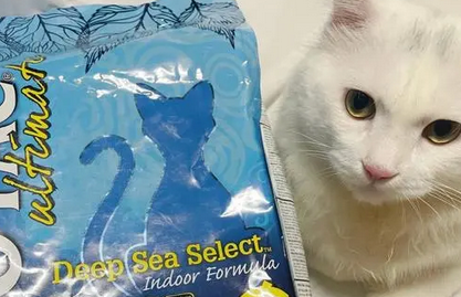 厂花小姐猫粮是哪里产的 厂花小姐猫粮是哪里产的
