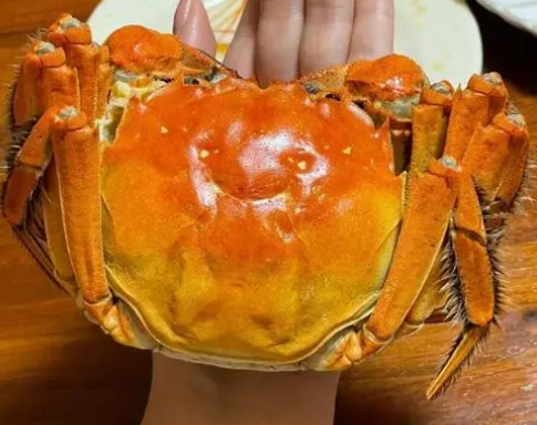 美味人间六月黄,你吃了吗? 美味人间六月黄,你吃了吗?