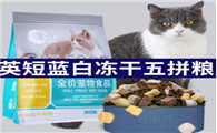 贝小悠猫粮什么档次