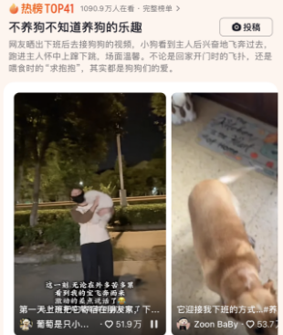 不养狗不知道养狗的乐趣，网友：这叫狗仗人势！