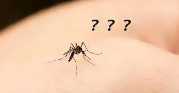 蚊子从何而来