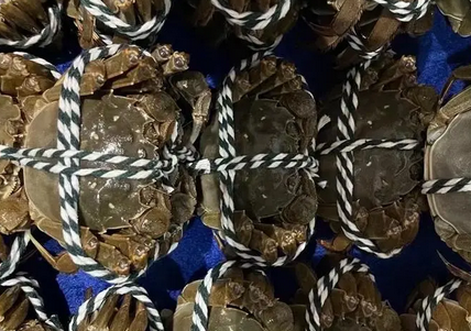 2.5两大闸蟹蒸几分钟最好