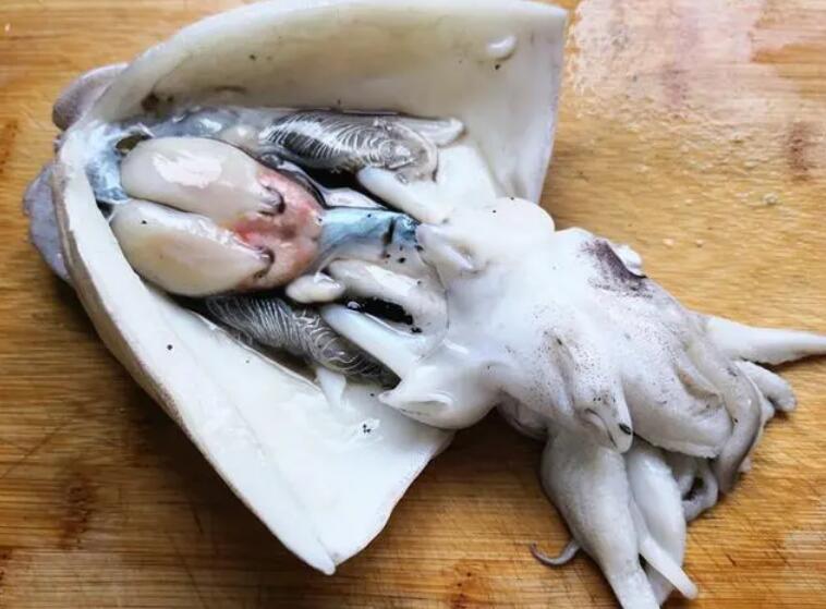 乌贼内脏能吃吗 乌贼内脏能吃吗