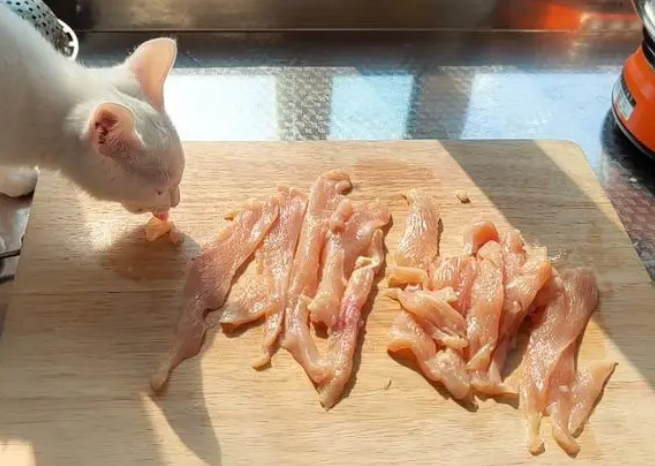 给猫咪吃鸡胸肉有什么好处