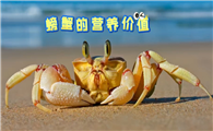 河螃蟹的营养价值及功效