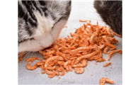 猫吃磷虾是智商税吗