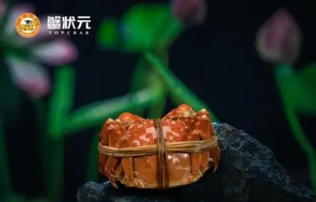 蟹状元是哪里的蟹