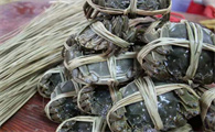 苏霸王大闸蟹卡怎么用