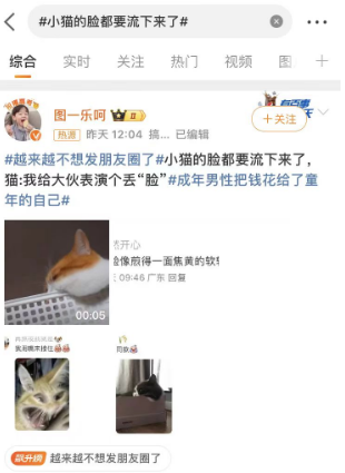 小猫表情包走红网络，萌化众人心