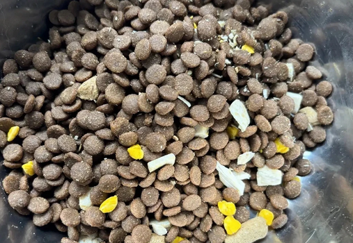 卡莉狗粮好不好 卡莉狗粮好不好