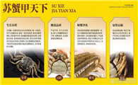 蟹季必尝：叮咚蟹庄高品质大闸蟹预售开启