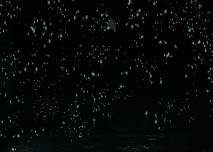 山东萤火虫水洞在哪里