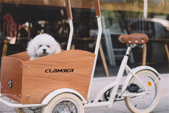 CLAMBER宠物车贵吗