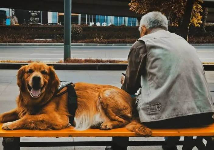 养狗对老年人抑郁症有帮助吗