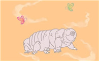 水熊虫生活在哪里